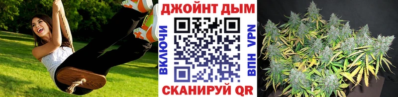 Бошки Шишки план  закладки  Ивдель 